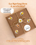 Spring Box Collare Aura+Guinzaglio+Medaglietta