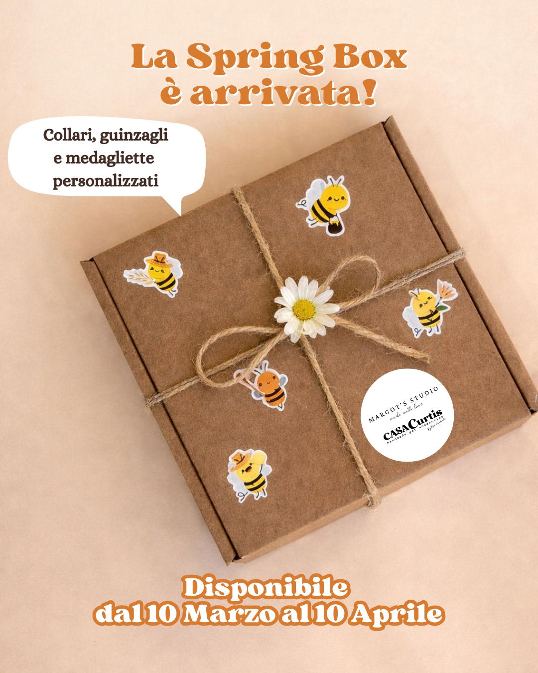 Spring Box Collare Aura+Guinzaglio+Medaglietta